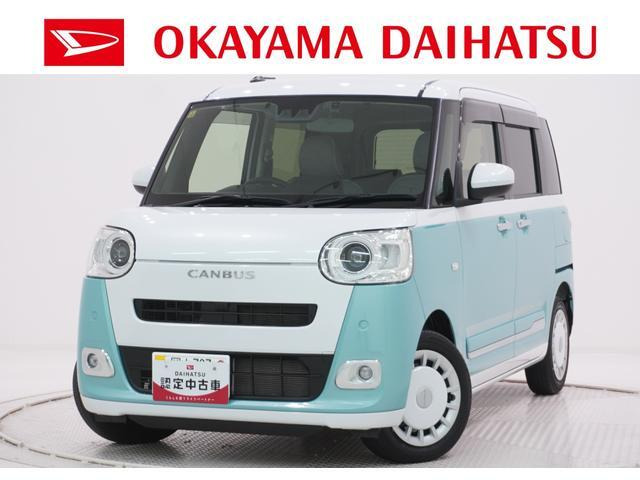 ムーヴキャンバス  ストライプス G