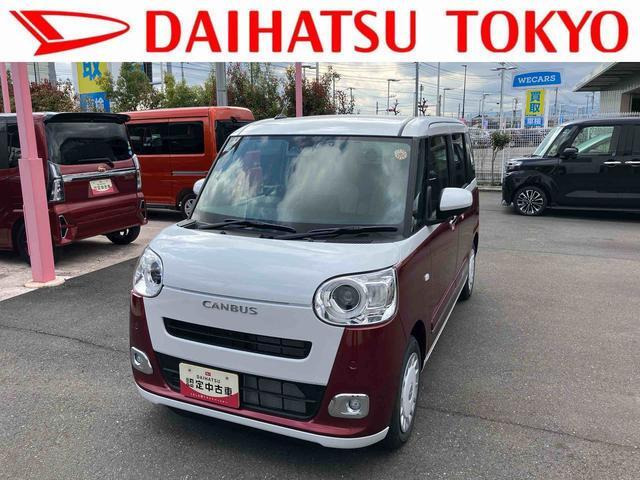 ムーヴキャンバス  ストライプス G