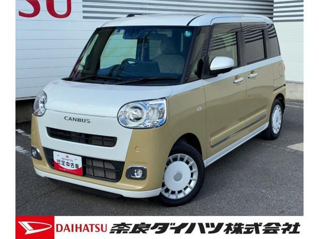 ムーヴキャンバス  ストライプス G