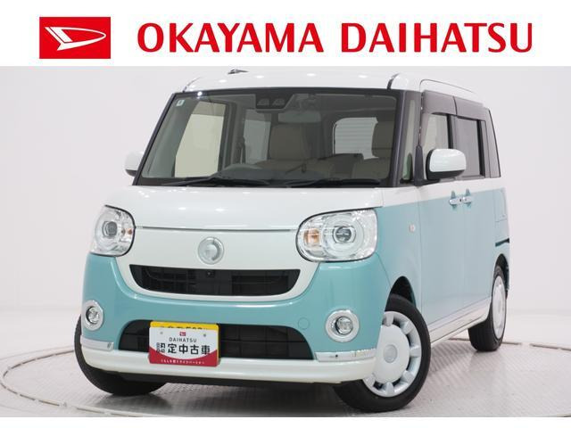 ムーヴキャンバス G メイクアップ リミテッド SAIII 