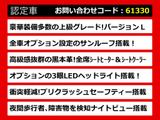 LS 460 バージョンL サンルーフ 3連眼LED ナイトビュー