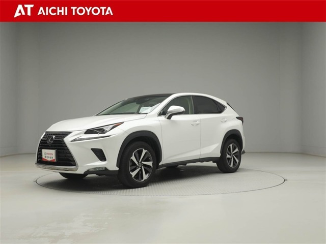 NX 300 Iパッケージ 