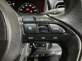 ステアリング装備◇ディスプレイ表示切替◇オーディオ切替◇レーダークルーズコントロールなどの操作が行えます