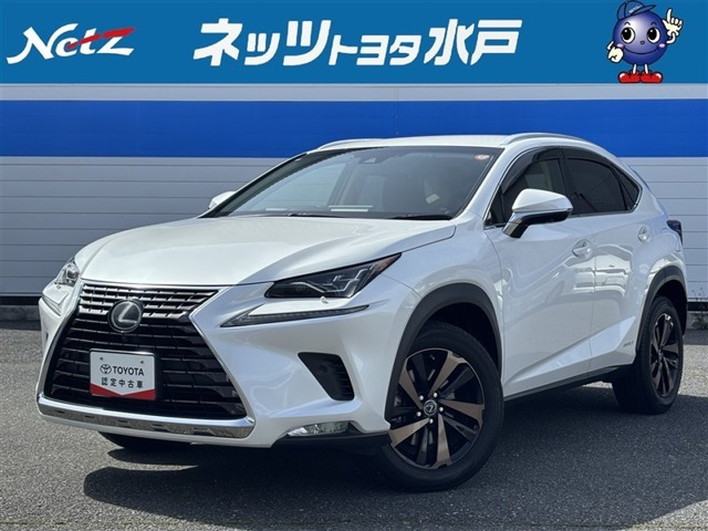 NX 300h バージョンL 