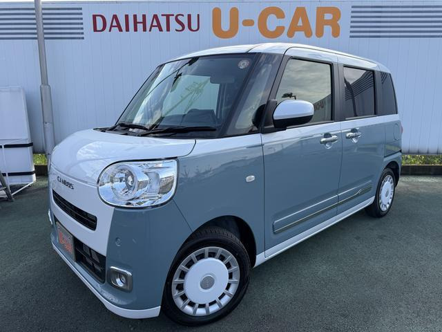 ムーヴキャンバス  ストライプス G