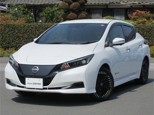 リーフ  X Vセレクション