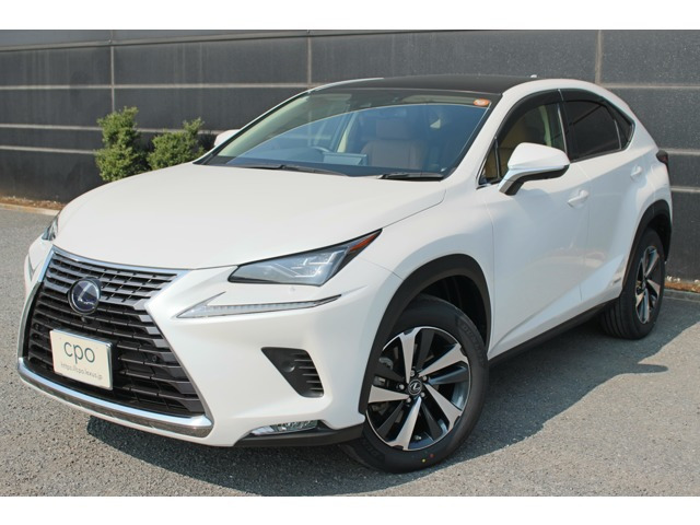 NX 300h バージョンL