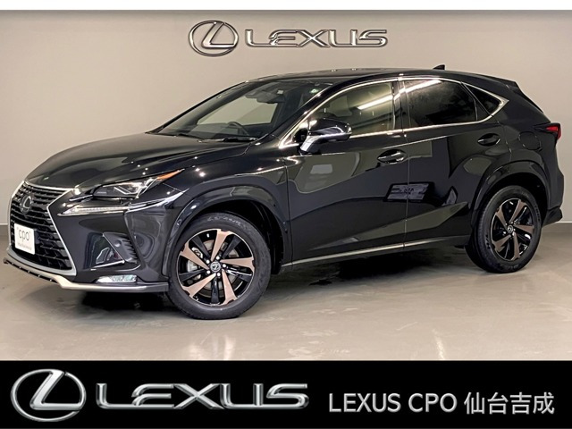 NX 300 スパイス&シック