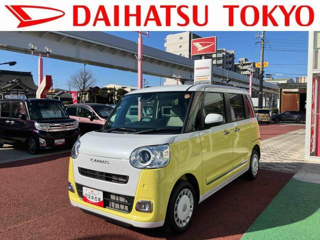 ムーヴキャンバス  ストライプス G