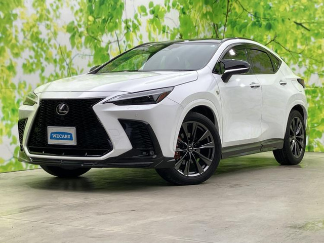 NX 350h Fスポーツ 