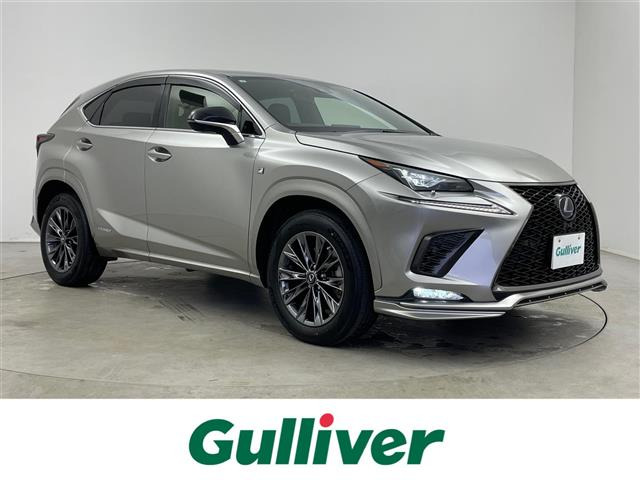 NX 300h クール&ブライト 本革シート サンルーフ