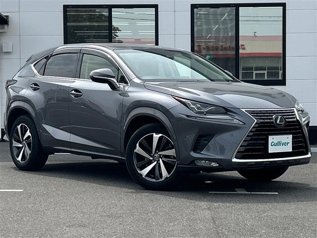 NX 300 Iパッケージ 本革シート サンルーフ