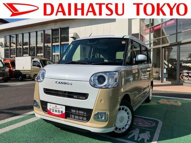 ムーヴキャンバス  ストライプス G