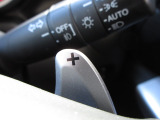 マニュアル車のような感覚で、ワインディングロードでも車を操れるパドルシフト付きです。長い下り坂でのエンジンブレーキや、高速道路の合流の際の加速も思いのままです。