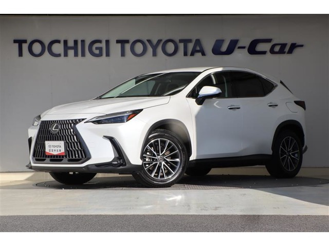 NX 250 バージョンL 4WD 