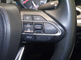 レーダークルーズコントロール/レーントレーシングアシスト/車間距離切替