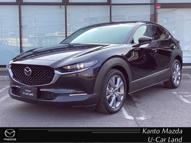 CX-30 2.0 20S プロアクティブ 