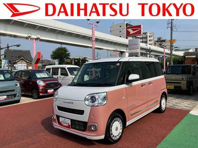 ムーヴキャンバス  ストライプス G