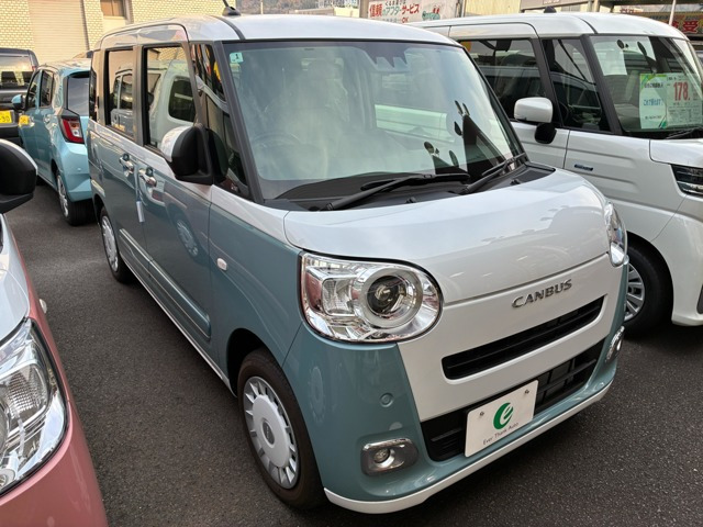 ムーヴキャンバス  ストライプス G