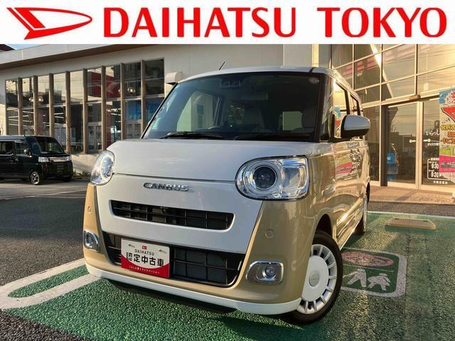 ムーヴキャンバス  ストライプス G