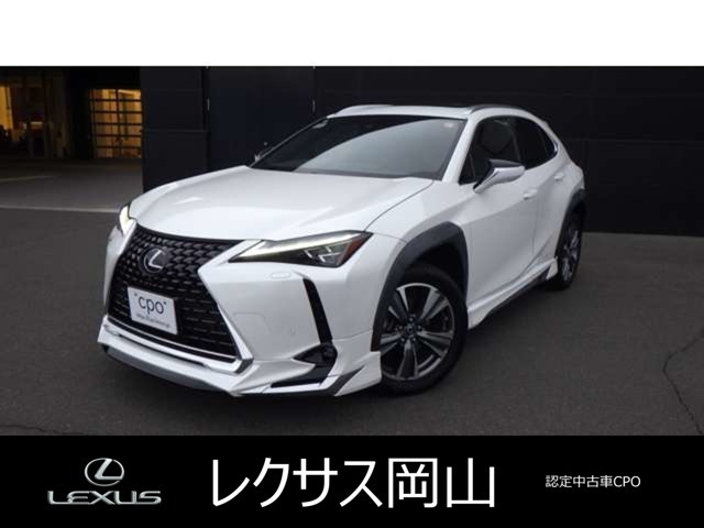 UX 300e バージョンL 