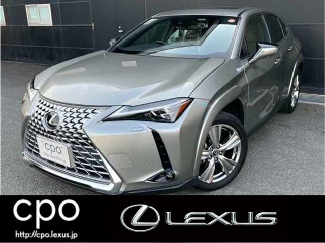 UX 250h グレイスフル エクスプローラー 