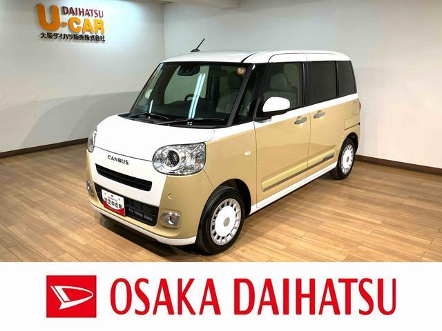 ムーヴキャンバス  ストライプス G