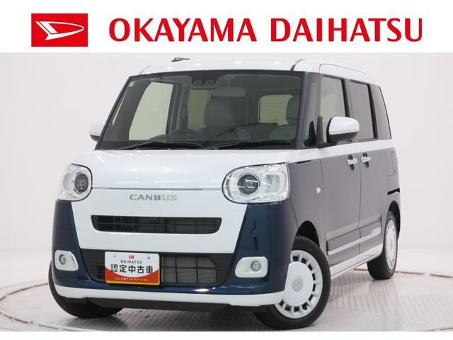 ムーヴキャンバス  ストライプス G