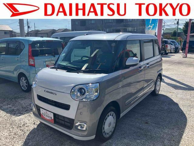 ムーヴキャンバス  ストライプス G