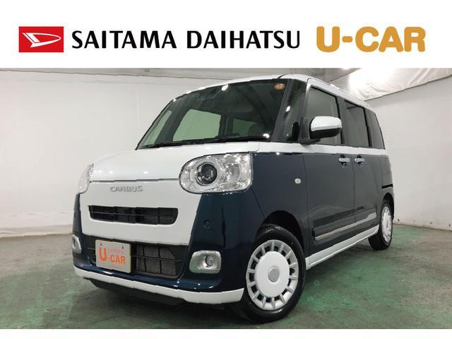 ムーヴキャンバス  ストライプス G