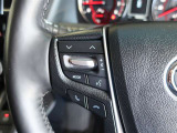 ステアリングスイッチ付き。前方から目を離すことなく操作することが可能です。