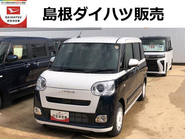 ムーヴキャンバス  ストライプス G