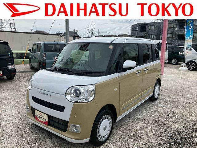 ムーヴキャンバス  ストライプス G