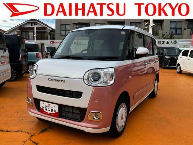 ムーヴキャンバス  ストライプス G