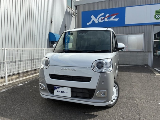 ムーヴキャンバス  ストライプス G