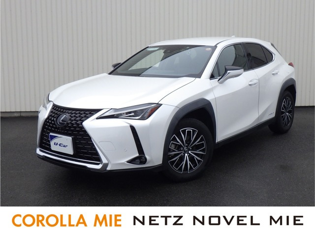 UX 250h バージョンC 