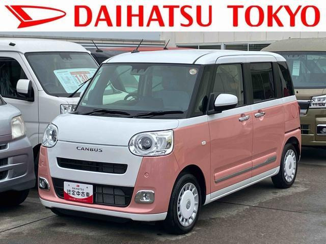 ムーヴキャンバス  ストライプス G