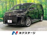 寒冷地仕様 後席モニター 純正9型DA バックカメラ 両側電動スライド