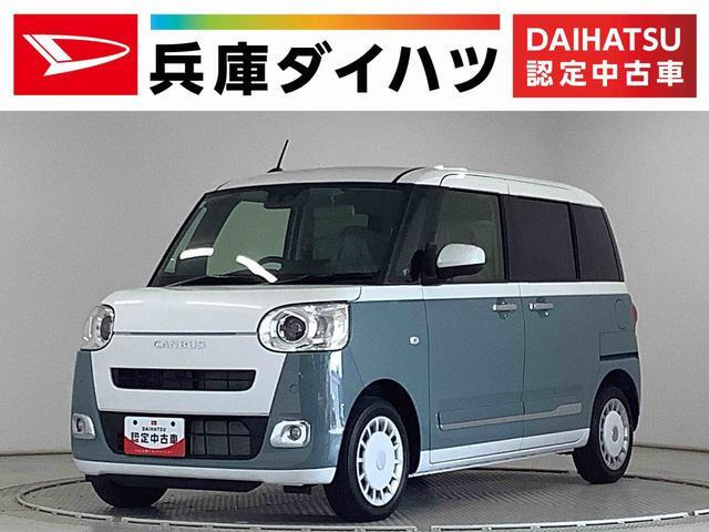 ムーヴキャンバス  ストライプス G