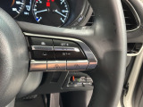 クルーズコントロールを装備しています。高速道路などで一定の速度で走ってくれるので運転が楽ですよ!速度を設定できますので、スピードの出しすぎにも注意できます。