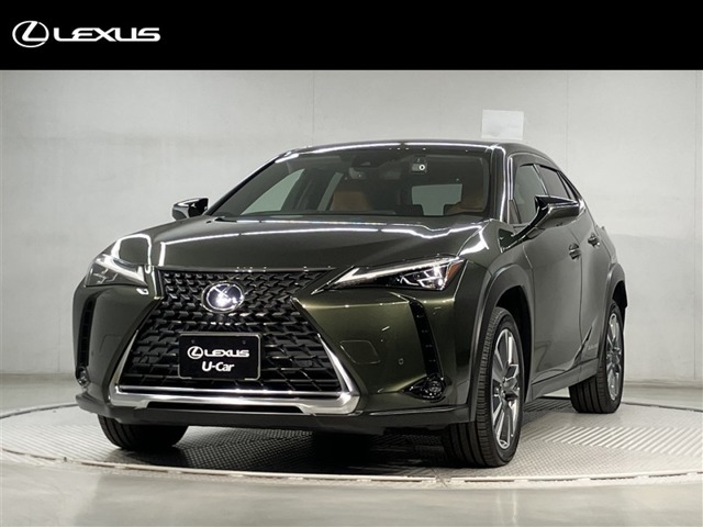 UX 300e バージョンL 