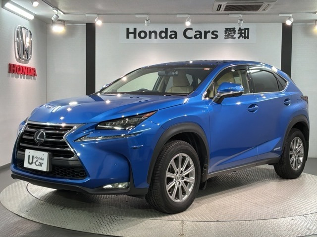 NX 300h Iパッケージ