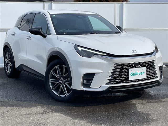 LBX リラックス E-Four 4WD 本革シート