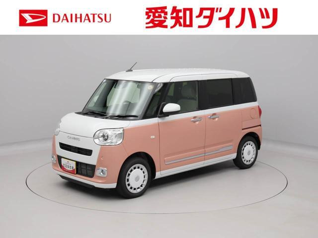 ムーヴキャンバス  ストライプス G