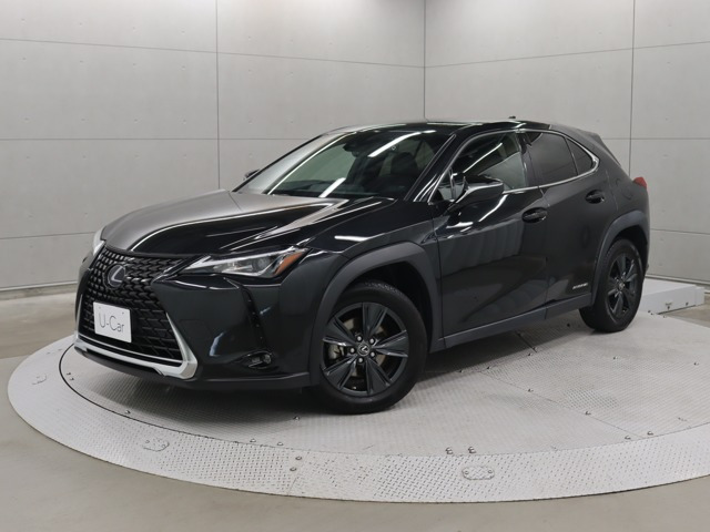 UX 250h バージョンC 
