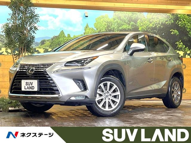 NX 300h Iパッケージ 