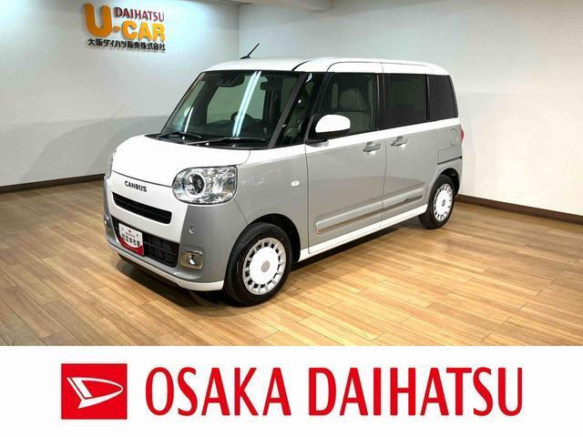 ムーヴキャンバス  ストライプス G