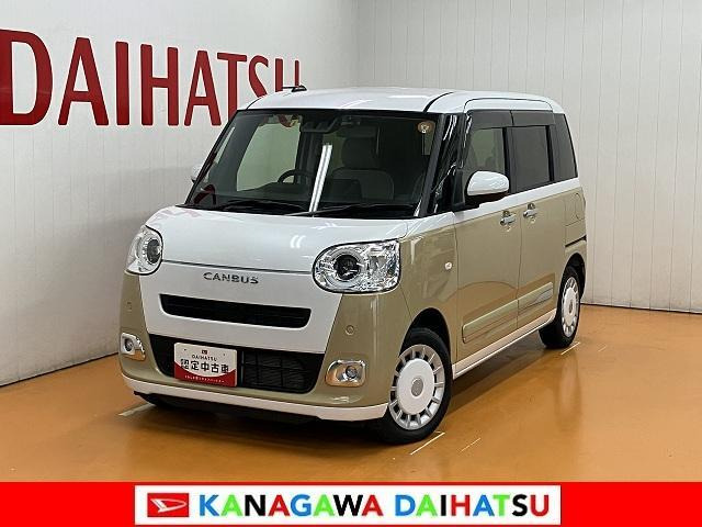 ムーヴキャンバス  ストライプス G