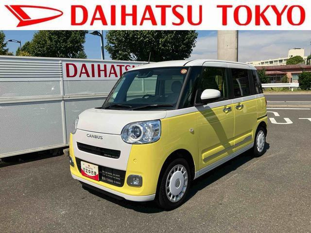 ムーヴキャンバス  ストライプス G