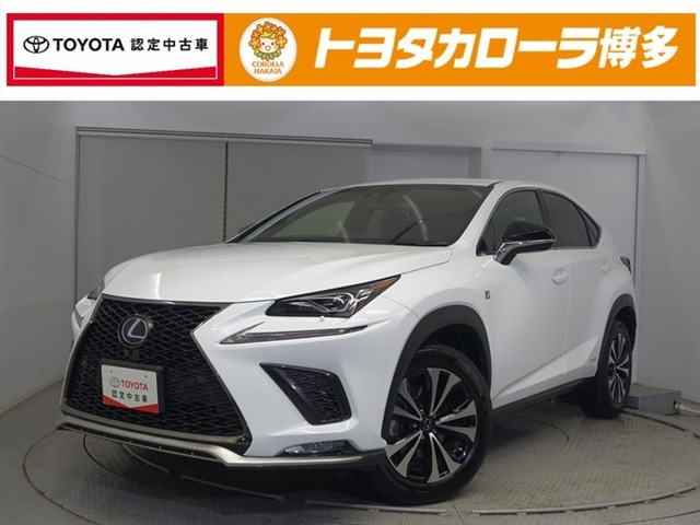 NX 300h Fスポーツ 